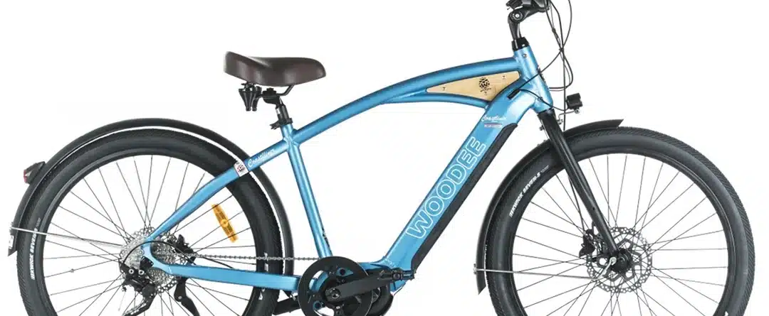 Woodee Coastliner Classic | VAE Beachcruiser | Moteur Central | 170KM Autonomie