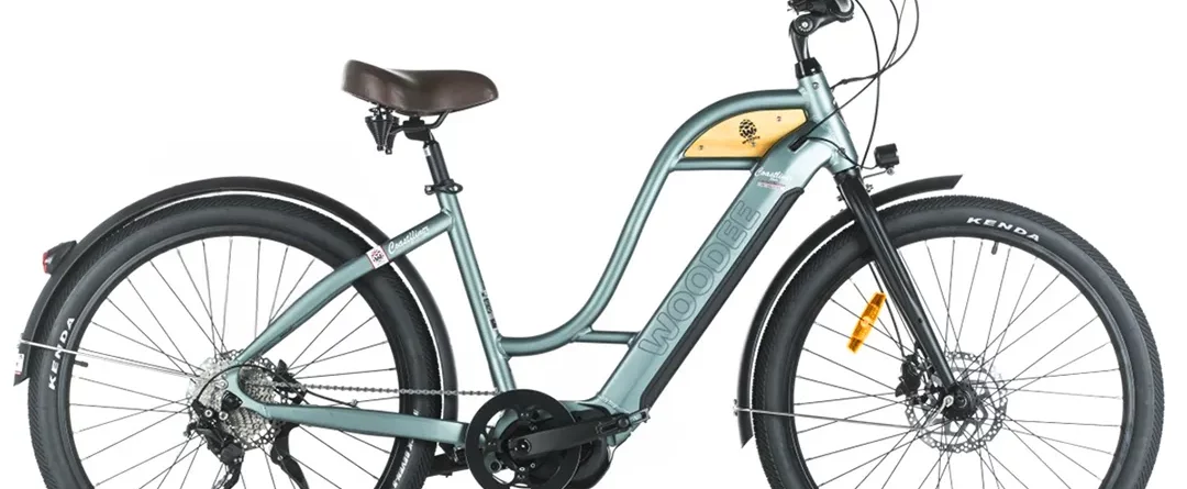 Woodee Coastliner Swan | Ebike Beachcruiser | Motor Central | Autonomia 170KM