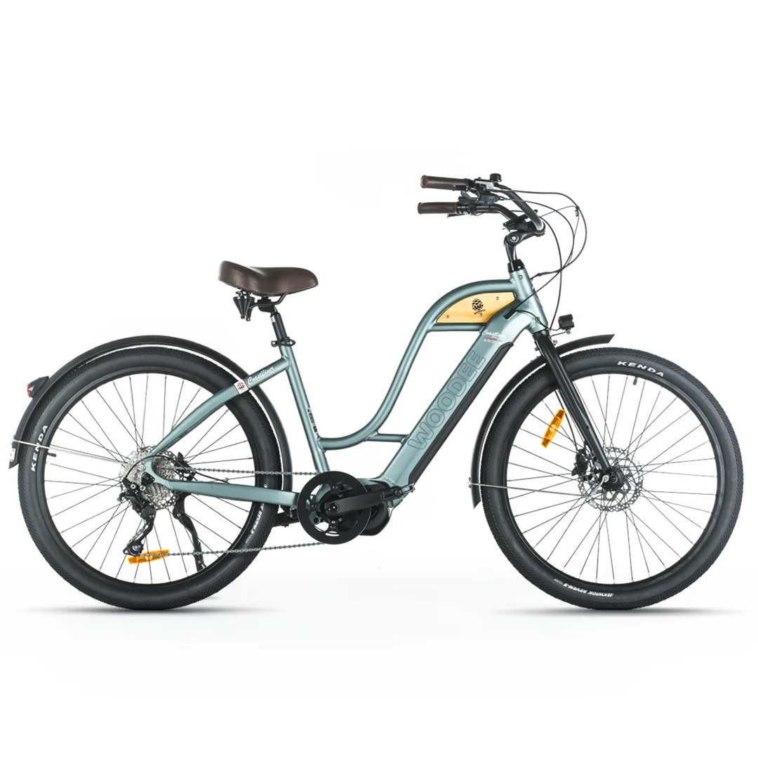 Woodee Coastliner Swan | VAE Beachcruiser | Moteur Central | Autonomie jusqu’à 140 km