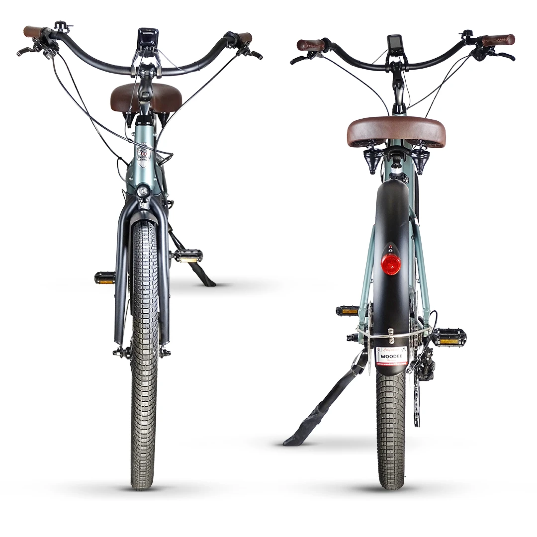 Woodee Coastliner Swan | Ebike Beachcruiser | Motor Central | Autonomia 170KM